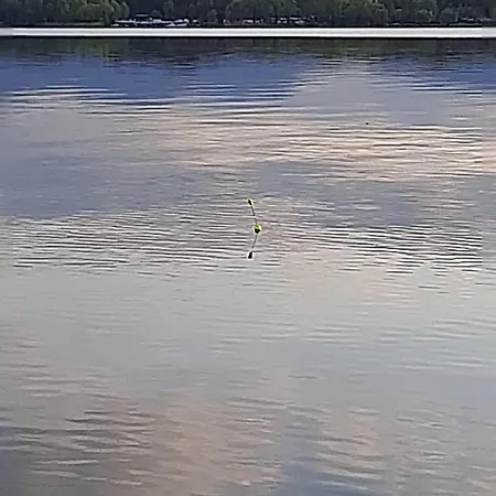 Cavaedium Bed and breakfast