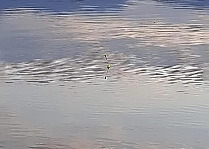 Cavaedium Bed & Breakfast